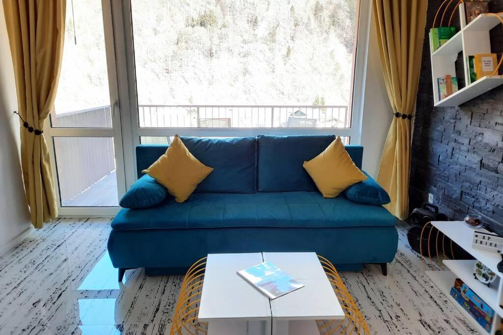 Apartament Erika Σινάια Εξωτερικό φωτογραφία