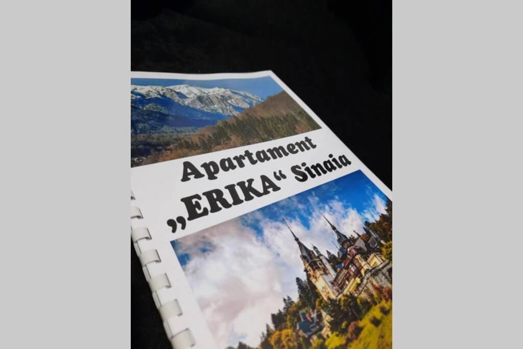 Apartament Erika Σινάια Εξωτερικό φωτογραφία