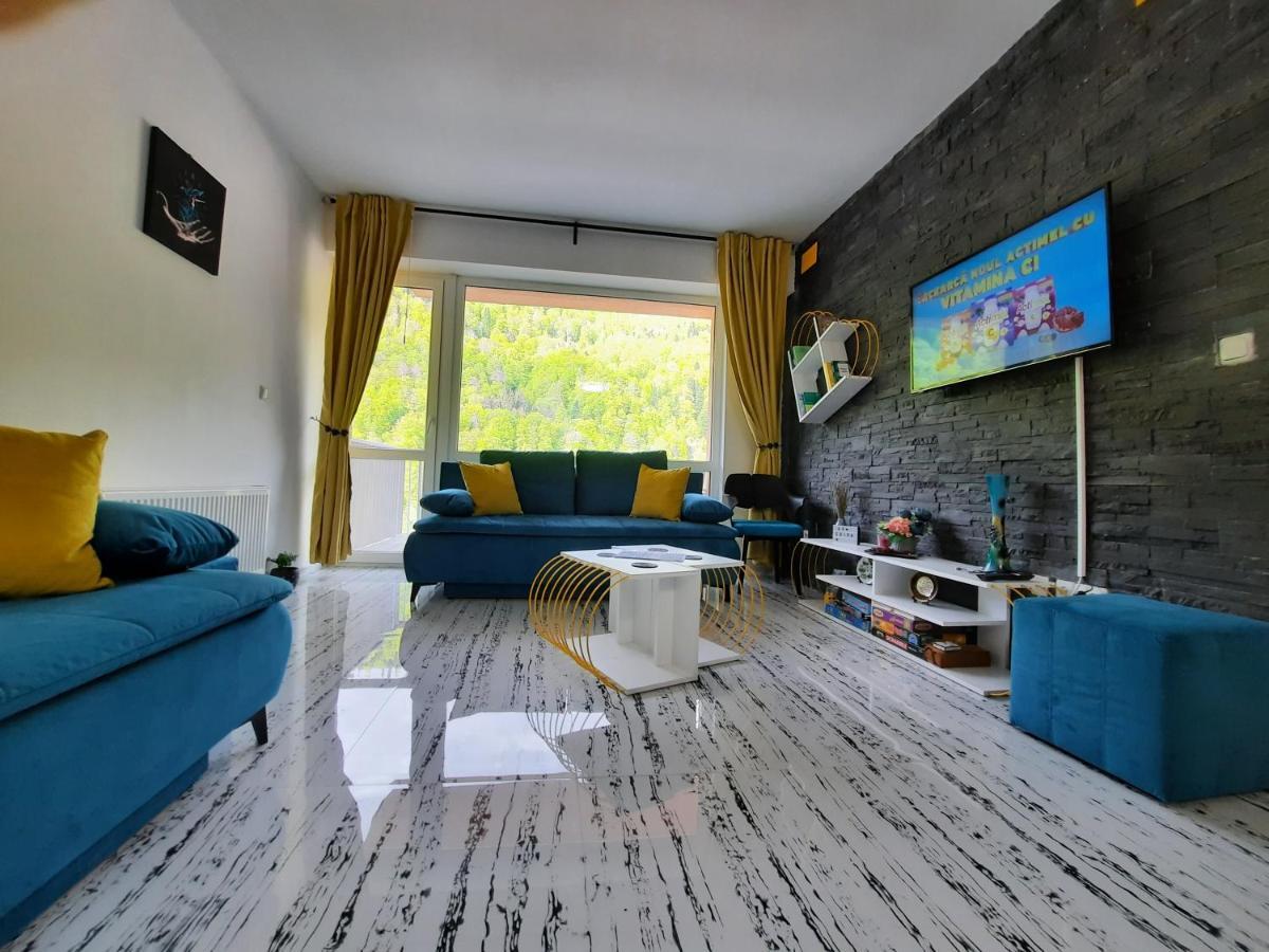 Apartament Erika Σινάια Εξωτερικό φωτογραφία