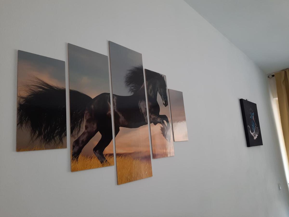 Apartament Erika Σινάια Εξωτερικό φωτογραφία
