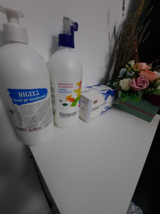 Apartament Erika Σινάια Εξωτερικό φωτογραφία