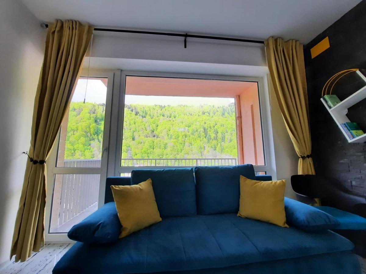 Apartament Erika Σινάια Εξωτερικό φωτογραφία
