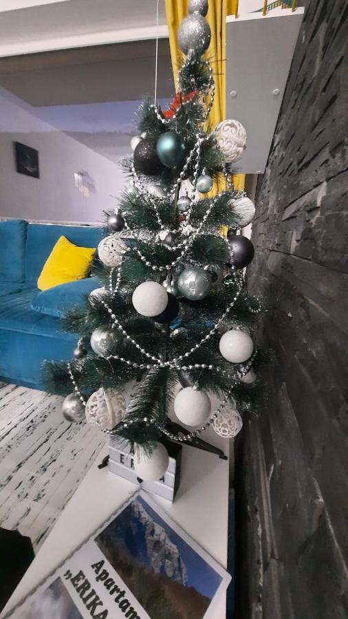 Apartament Erika Σινάια Εξωτερικό φωτογραφία