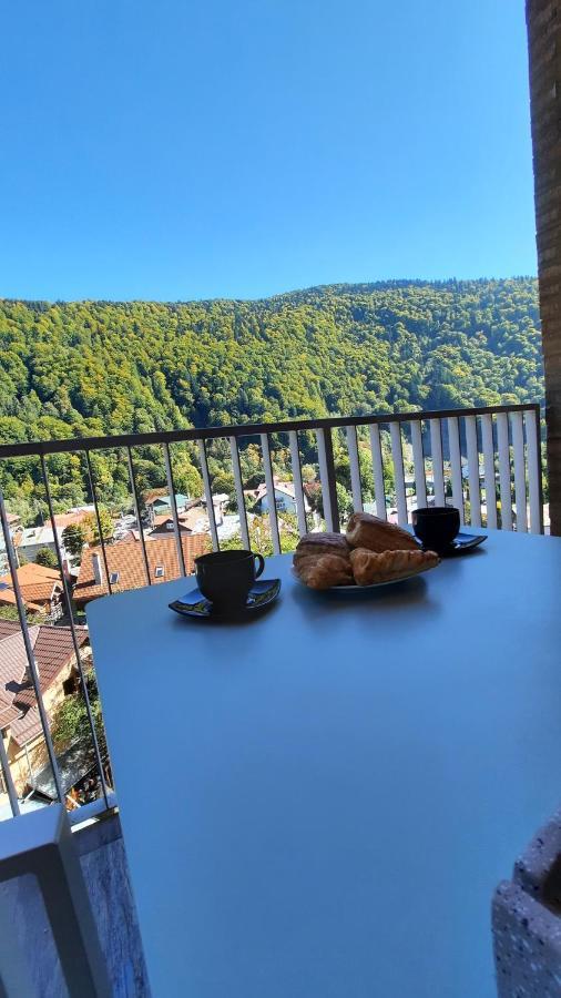 Apartament Erika Σινάια Εξωτερικό φωτογραφία