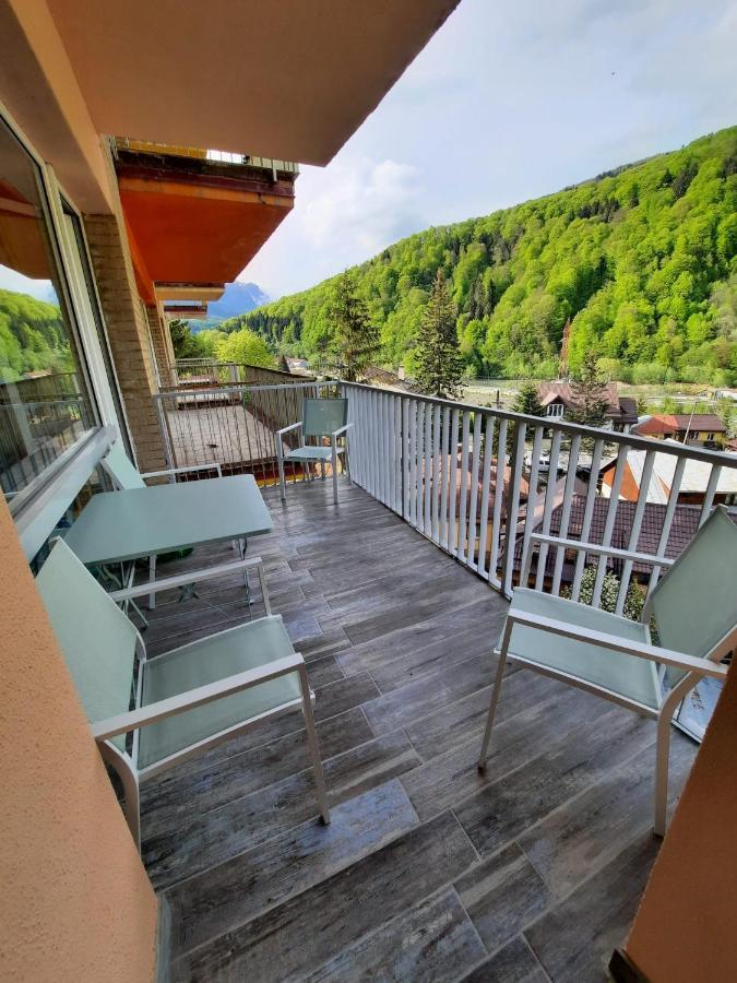 Apartament Erika Σινάια Εξωτερικό φωτογραφία