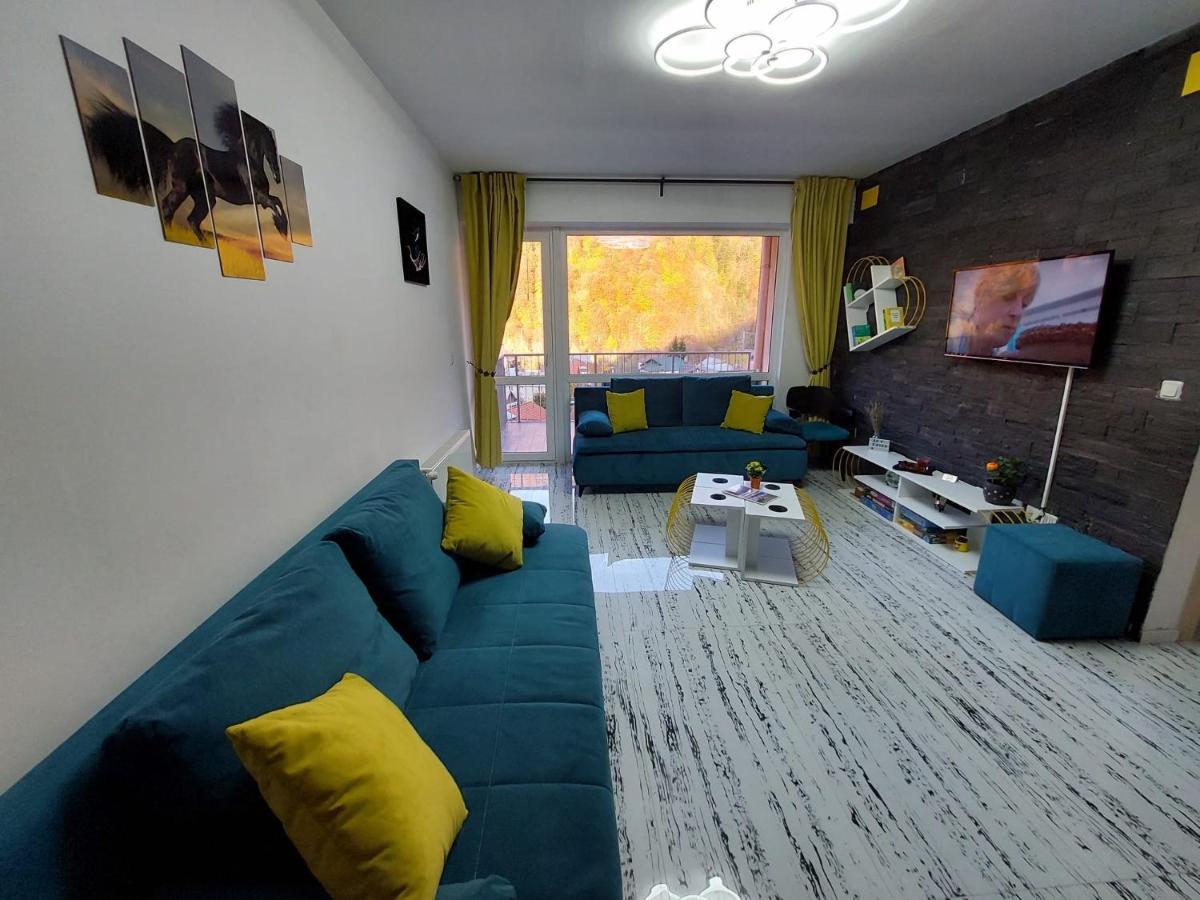 Apartament Erika Σινάια Εξωτερικό φωτογραφία