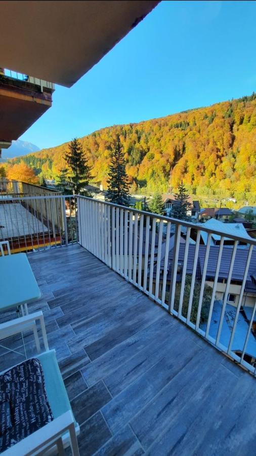Apartament Erika Σινάια Εξωτερικό φωτογραφία