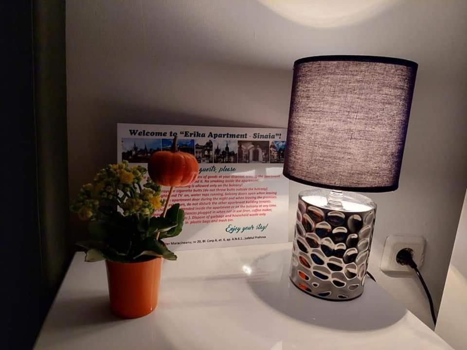 Apartament Erika Σινάια Εξωτερικό φωτογραφία